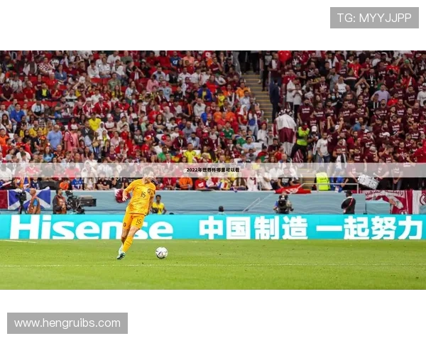 2008世界杯足球世界杯体育论坛